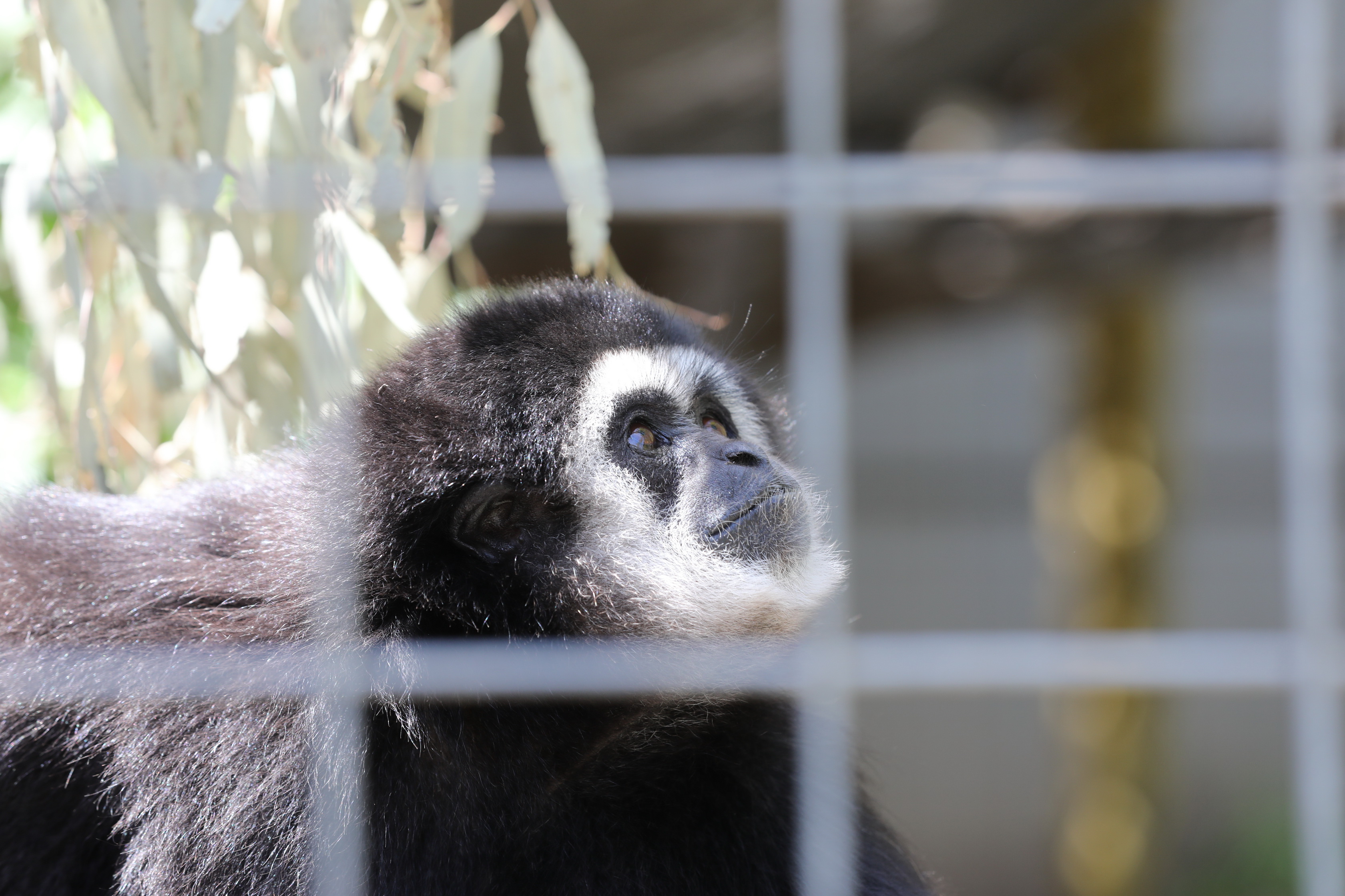 2019 11 22 13 48 04 Canon EOS 5D Mark IV 0009